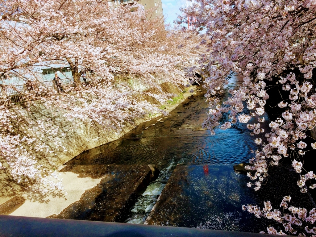 f:id:nanoooo:20180329220825j:plain f:id:nanoooo:20180329220825j:plain