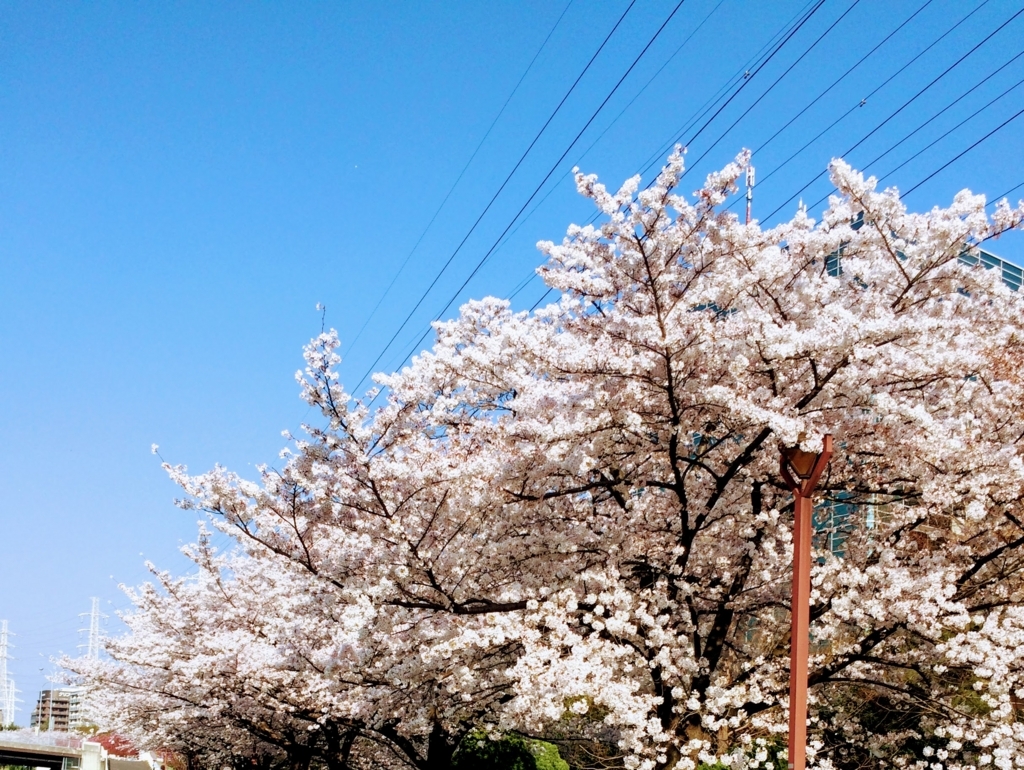 f:id:nanoooo:20180329221823j:plain f:id:nanoooo:20180329221823j:plain