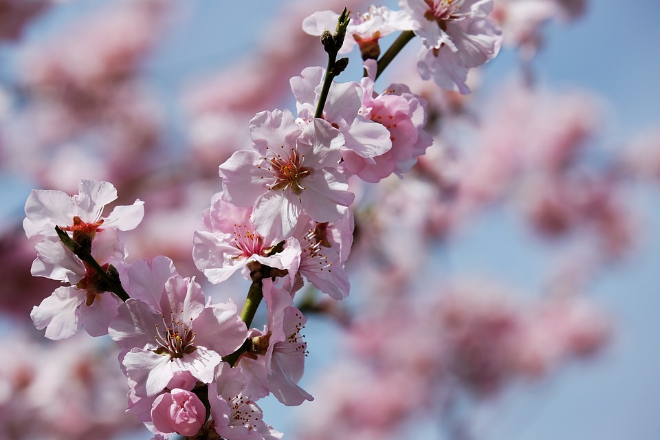 f:id:nanoooo:20180402225810j:plain f:id:nanoooo:20180402225810j:plain