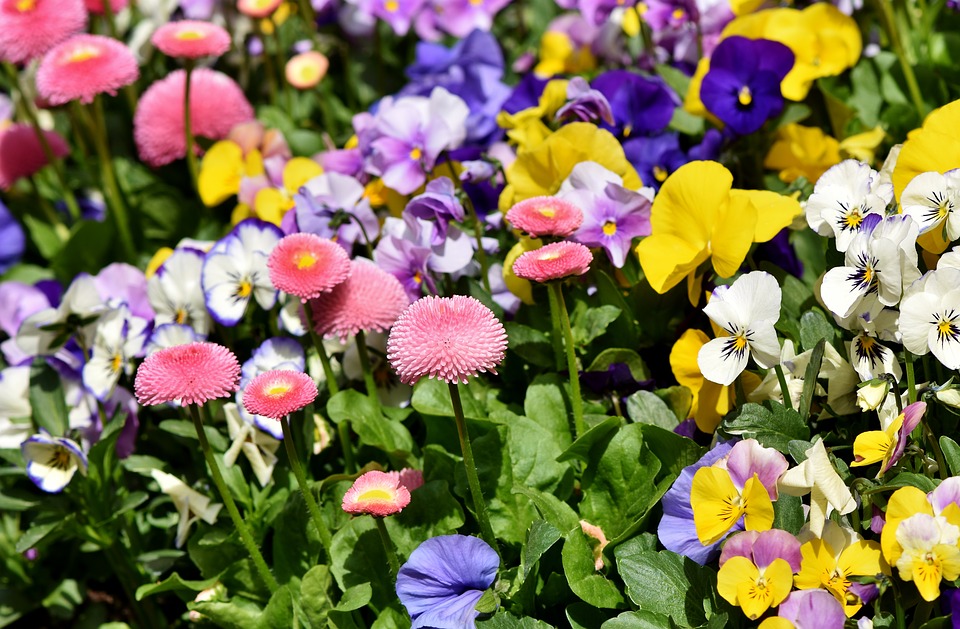 f:id:nanoooo:20180504210144j:plain f:id:nanoooo:20180504210144j:plain