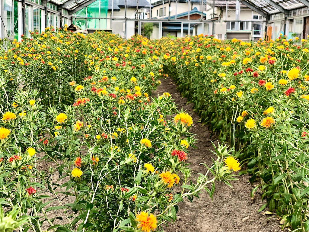 f:id:nanotabi:20191014211125j:image f:id:nanotabi:20191014211125j:image