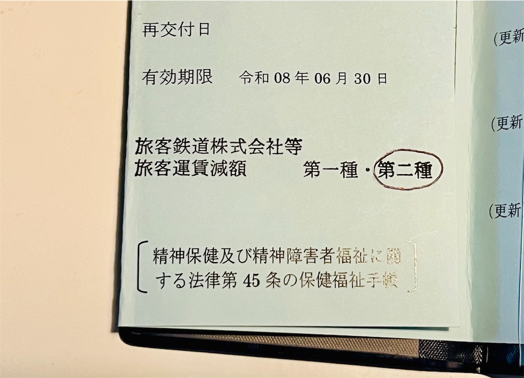 f:id:nanotherapica:20250408203921j:image
