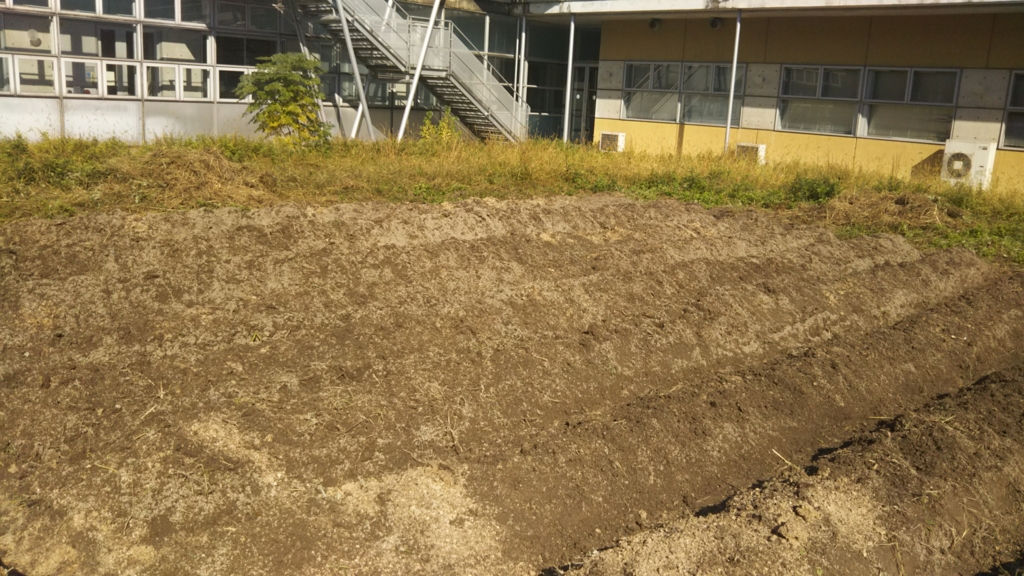 f:id:nanowari:20161105103526j:plain