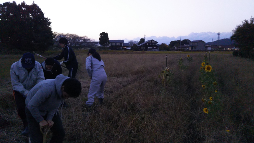 f:id:nanowari:20161112165833j:plain