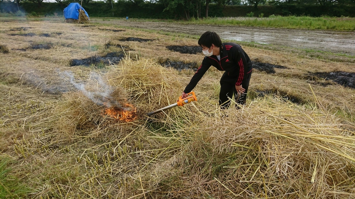 f:id:nanowari:20190612193848j:plain f:id:nanowari:20190612193848j:plain