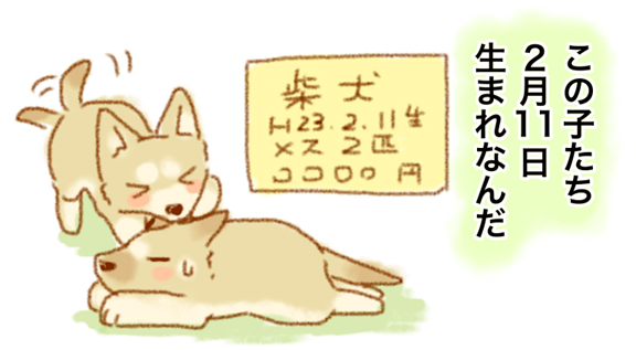 f:id:nanpoo803:20170211191359j:plain f:id:nanpoo803:20170211191359j:plain