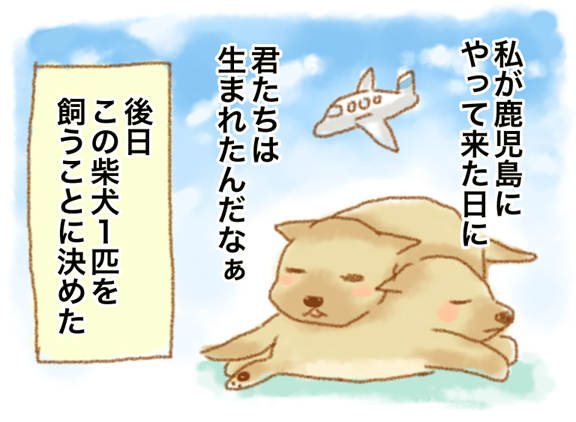 f:id:nanpoo803:20170211191401j:plain f:id:nanpoo803:20170211191401j:plain