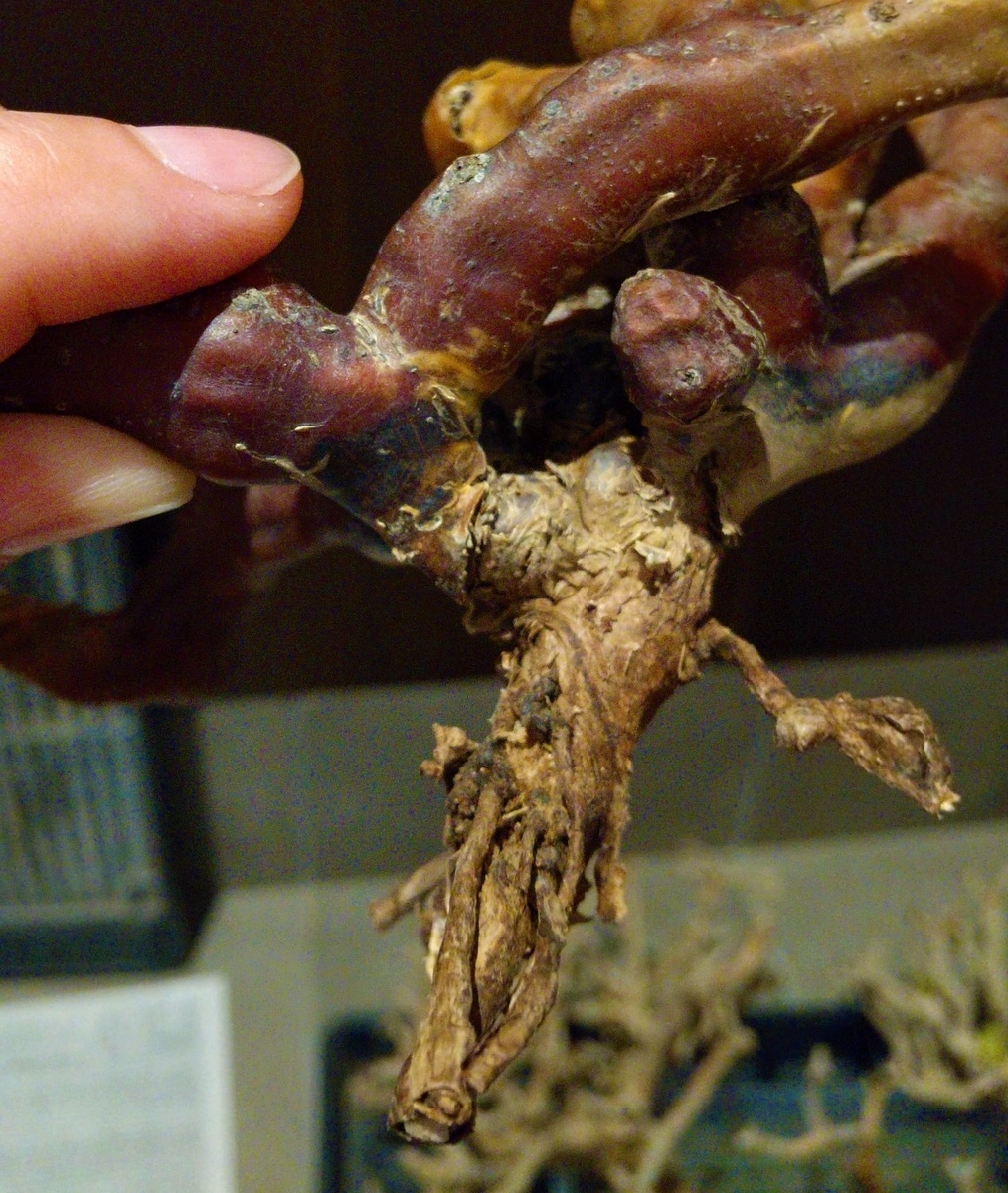 f:id:nanson0911:20210903231703j:plain