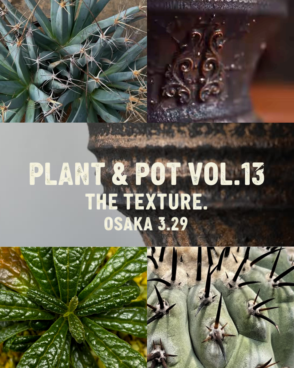 大阪 3/29】スマホの画面を突き破る「質感」。PLANT & POT VOL.13 開催