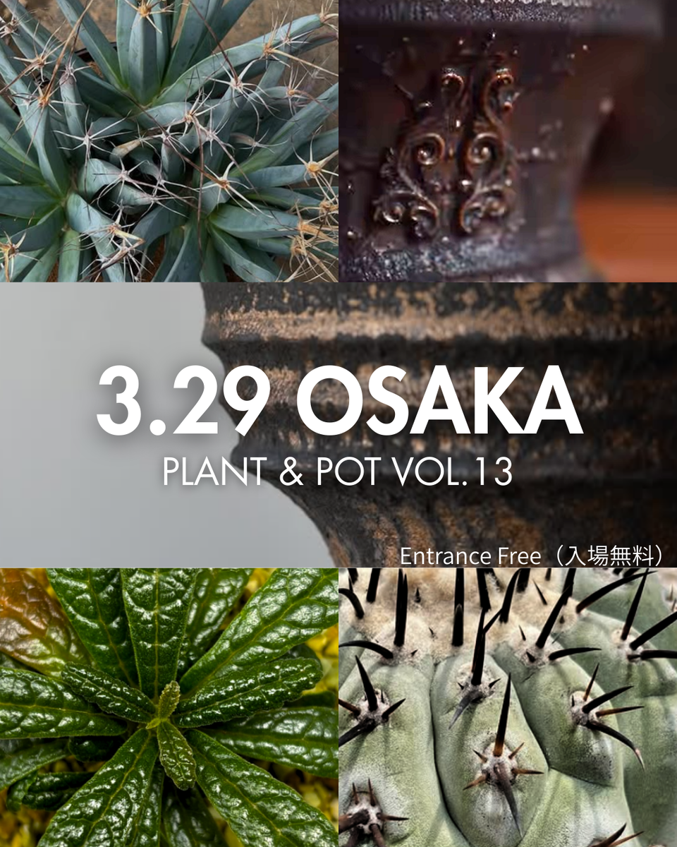 大阪 3/29】スマホの画面を突き破る「質感」。PLANT & POT VOL.13 開催