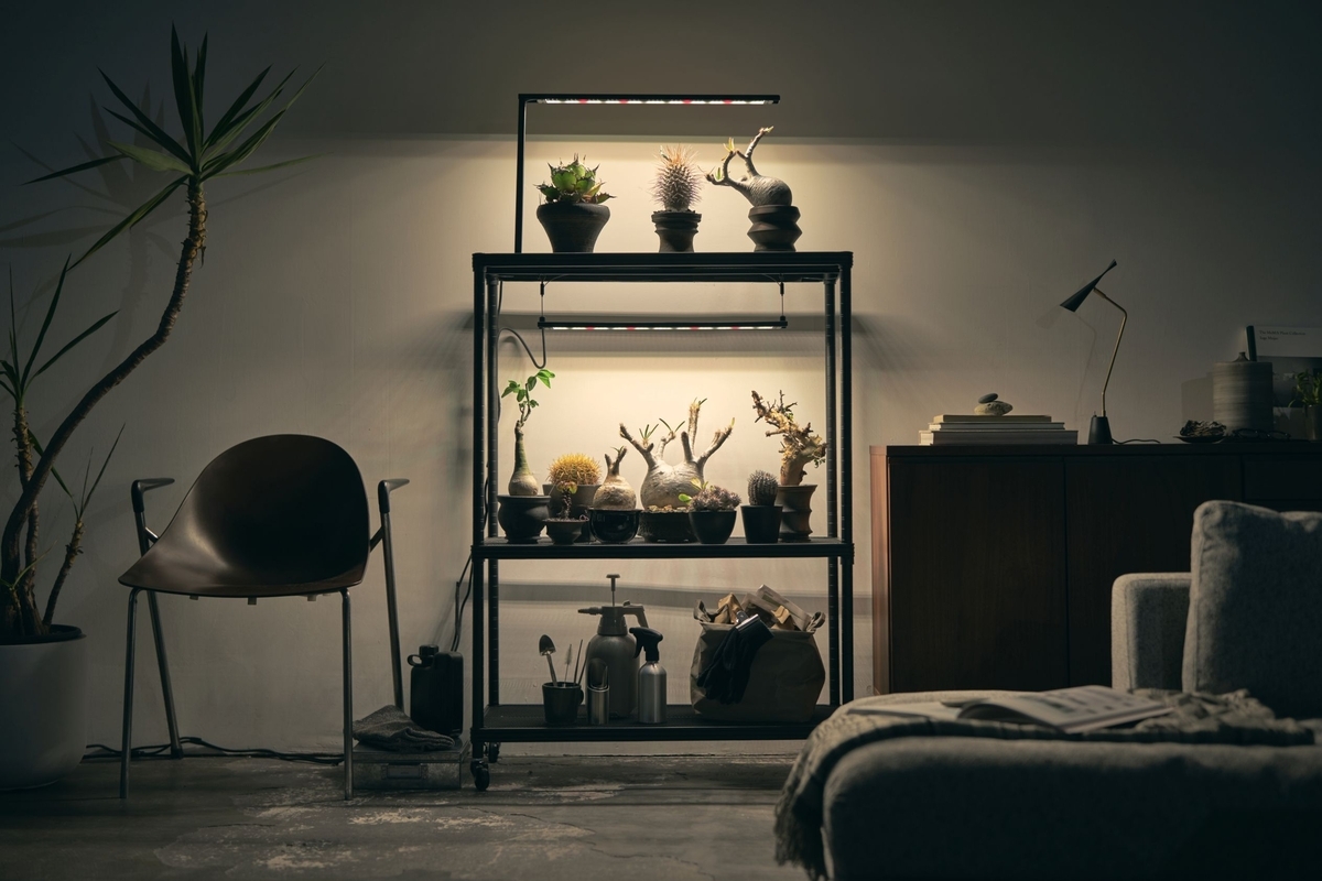 植物育成ライト Hipargero HG800 最強な理由と使い方 - And Plants