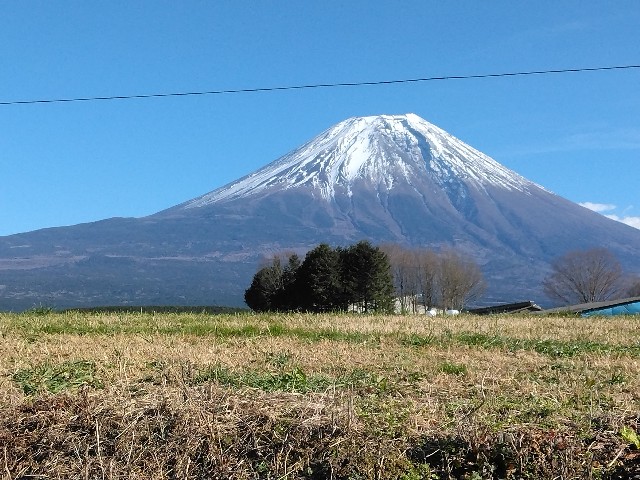 f:id:nansuke40:20231206135235j:image