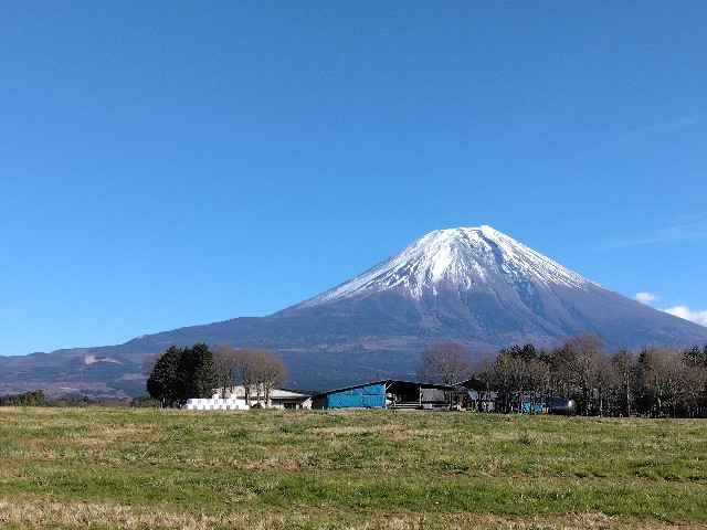 f:id:nansuke40:20231206135253j:image