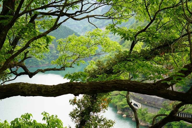 f:id:nanto100kmmaranic:20200524213823j:plain