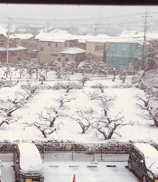 f:id:nantoka-narusa12:20200329180952j:plain f:id:nantoka-narusa12:20200329180952j:plain