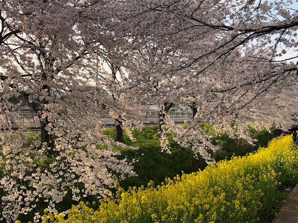 f:id:nantoka774:20190411231623j:image f:id:nantoka774:20190411231623j:image