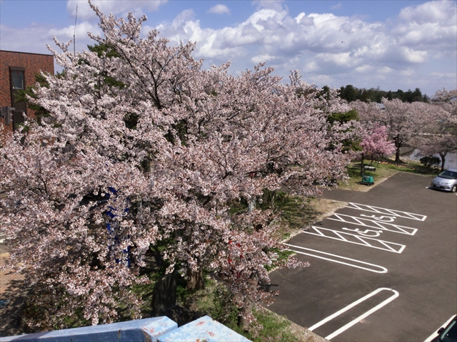 f:id:nantokacha:20190416073945j:plain f:id:nantokacha:20190416073945j:plain
