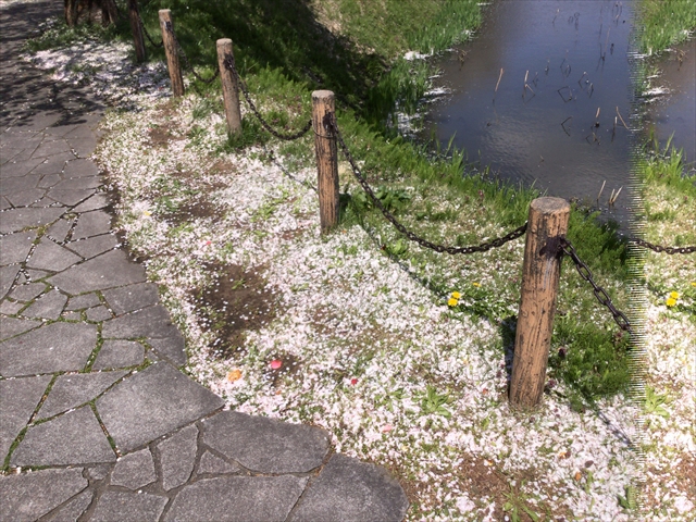 f:id:nantokacha:20190416073951j:plain f:id:nantokacha:20190416073951j:plain