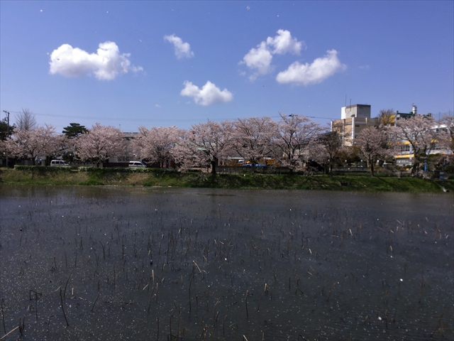 f:id:nantokacha:20190416073952j:plain f:id:nantokacha:20190416073952j:plain