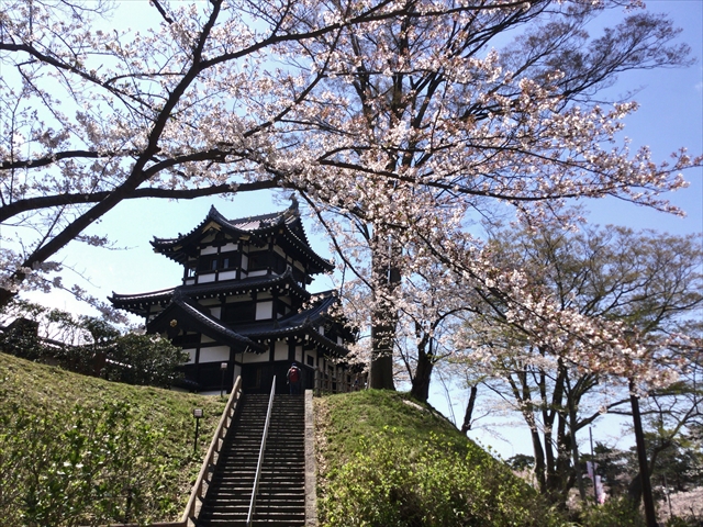 f:id:nantokacha:20190416074000j:plain f:id:nantokacha:20190416074000j:plain
