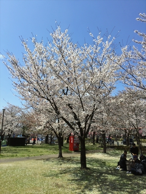 f:id:nantokacha:20190416074009j:plain f:id:nantokacha:20190416074009j:plain