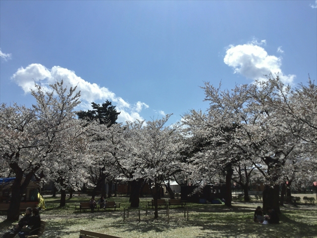 f:id:nantokacha:20190416074010j:plain f:id:nantokacha:20190416074010j:plain