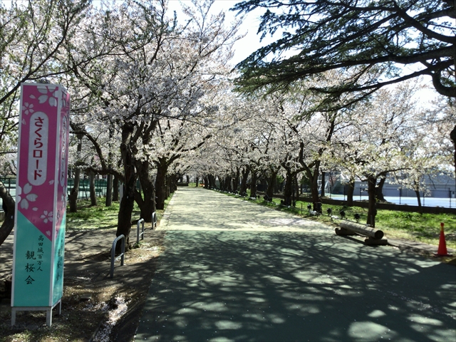 f:id:nantokacha:20190416074013j:plain f:id:nantokacha:20190416074013j:plain