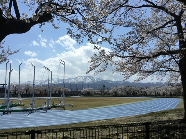 f:id:nantokacha:20190416074014j:plain f:id:nantokacha:20190416074014j:plain