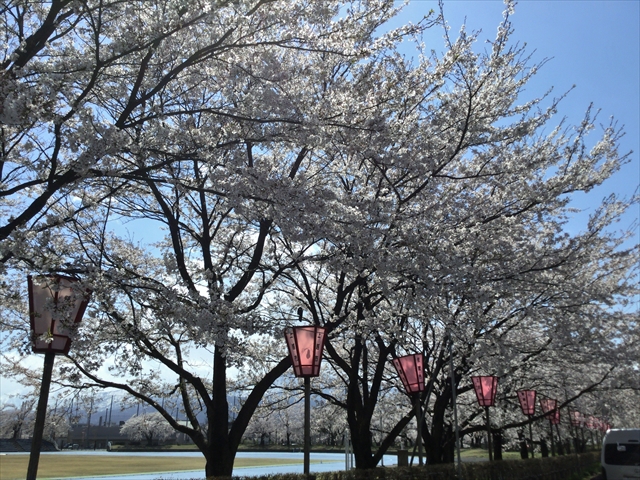 f:id:nantokacha:20190416074015j:plain f:id:nantokacha:20190416074015j:plain