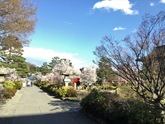 f:id:nantokacha:20190416074041j:plain f:id:nantokacha:20190416074041j:plain