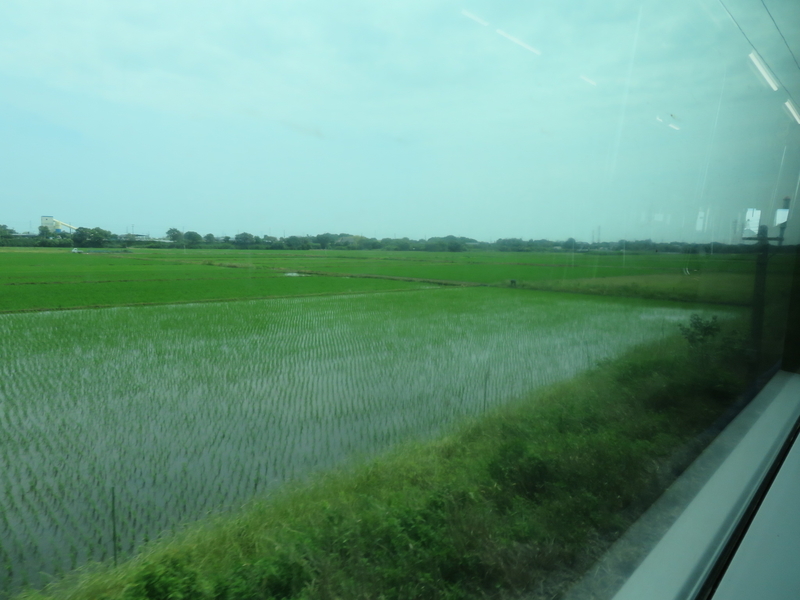 f:id:nantokacha:20200611095435j:plain f:id:nantokacha:20200611095435j:plain