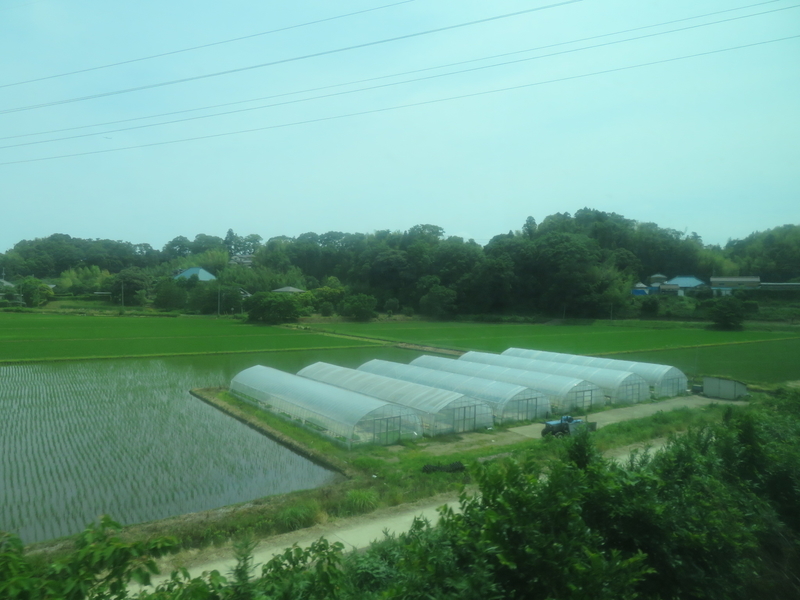 f:id:nantokacha:20200611095457j:plain f:id:nantokacha:20200611095457j:plain
