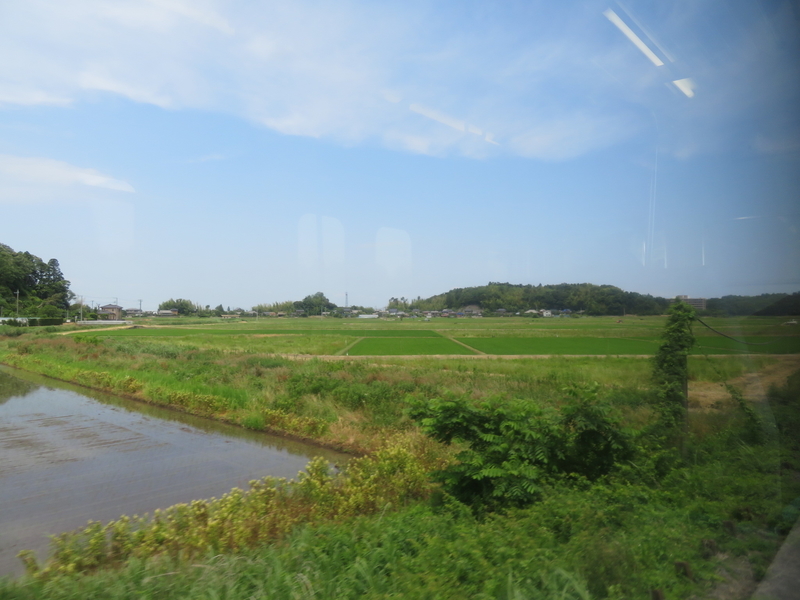 f:id:nantokacha:20200611095627j:plain f:id:nantokacha:20200611095627j:plain