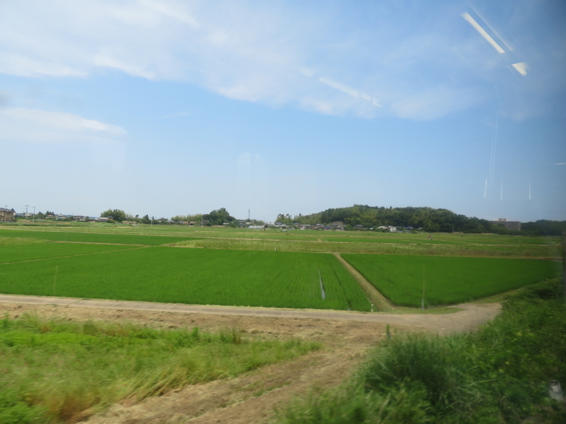 f:id:nantokacha:20200611095633j:plain f:id:nantokacha:20200611095633j:plain