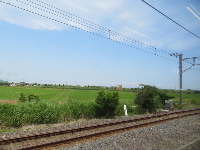 f:id:nantokacha:20200611095648j:plain f:id:nantokacha:20200611095648j:plain