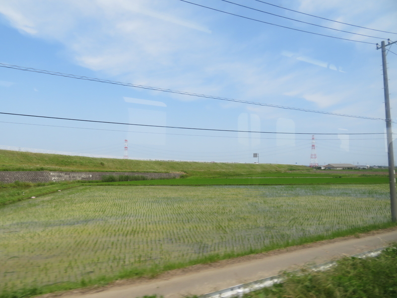 f:id:nantokacha:20200611095708j:plain f:id:nantokacha:20200611095708j:plain