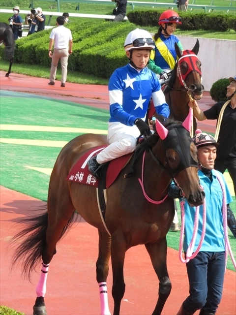 f:id:nantokacha:20200810153723j:plain f:id:nantokacha:20200810153723j:plain