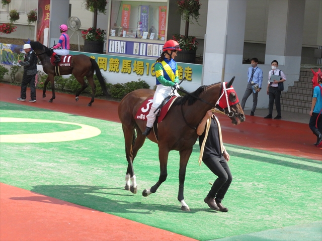 f:id:nantokacha:20200810153920j:plain f:id:nantokacha:20200810153920j:plain