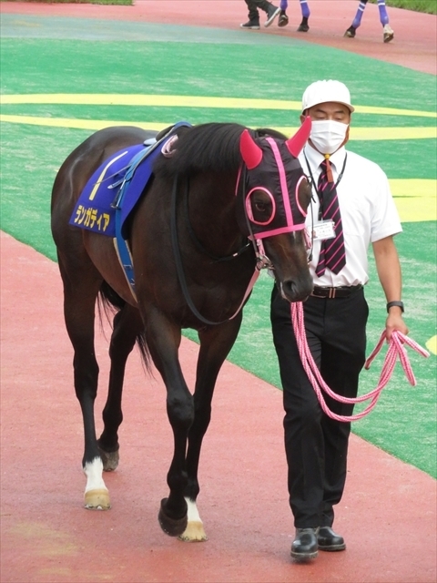 f:id:nantokacha:20200810154900j:plain f:id:nantokacha:20200810154900j:plain