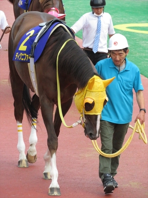 f:id:nantokacha:20200810154920j:plain f:id:nantokacha:20200810154920j:plain