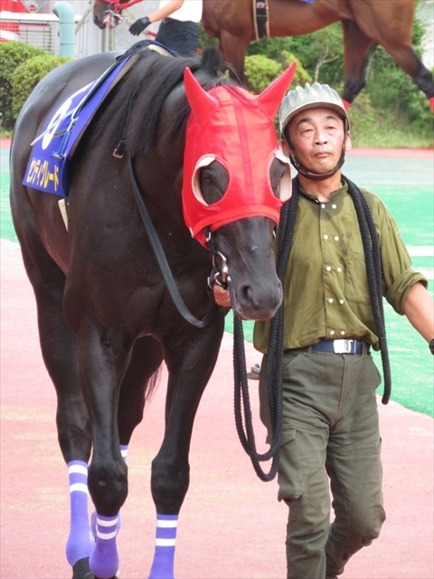 f:id:nantokacha:20200810155251j:plain f:id:nantokacha:20200810155251j:plain