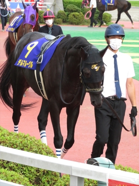 f:id:nantokacha:20200810155450j:plain f:id:nantokacha:20200810155450j:plain