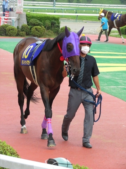 f:id:nantokacha:20200810155512j:plain f:id:nantokacha:20200810155512j:plain