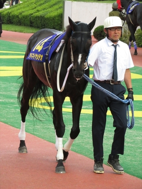 f:id:nantokacha:20200810155657j:plain f:id:nantokacha:20200810155657j:plain