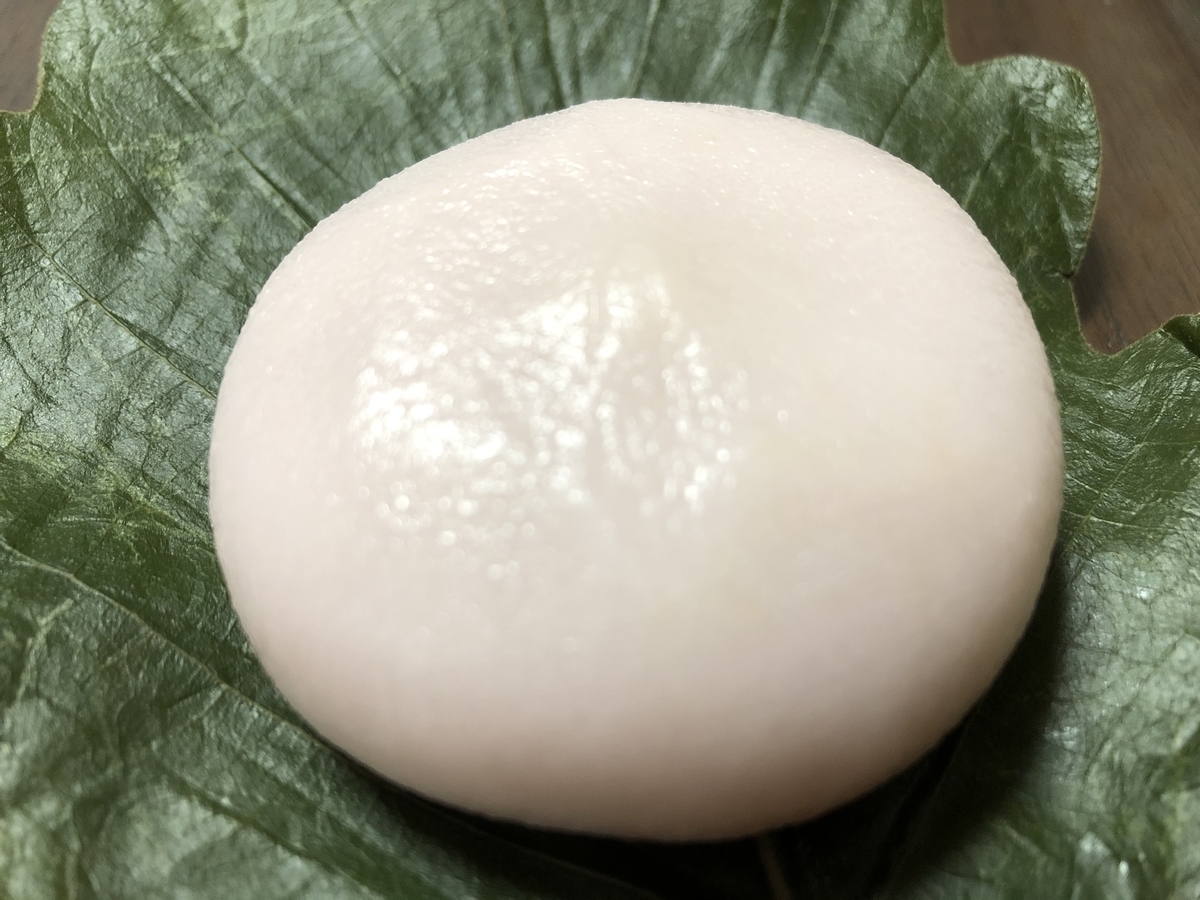 f:id:nantokadekiru:20210506062544j:plain
