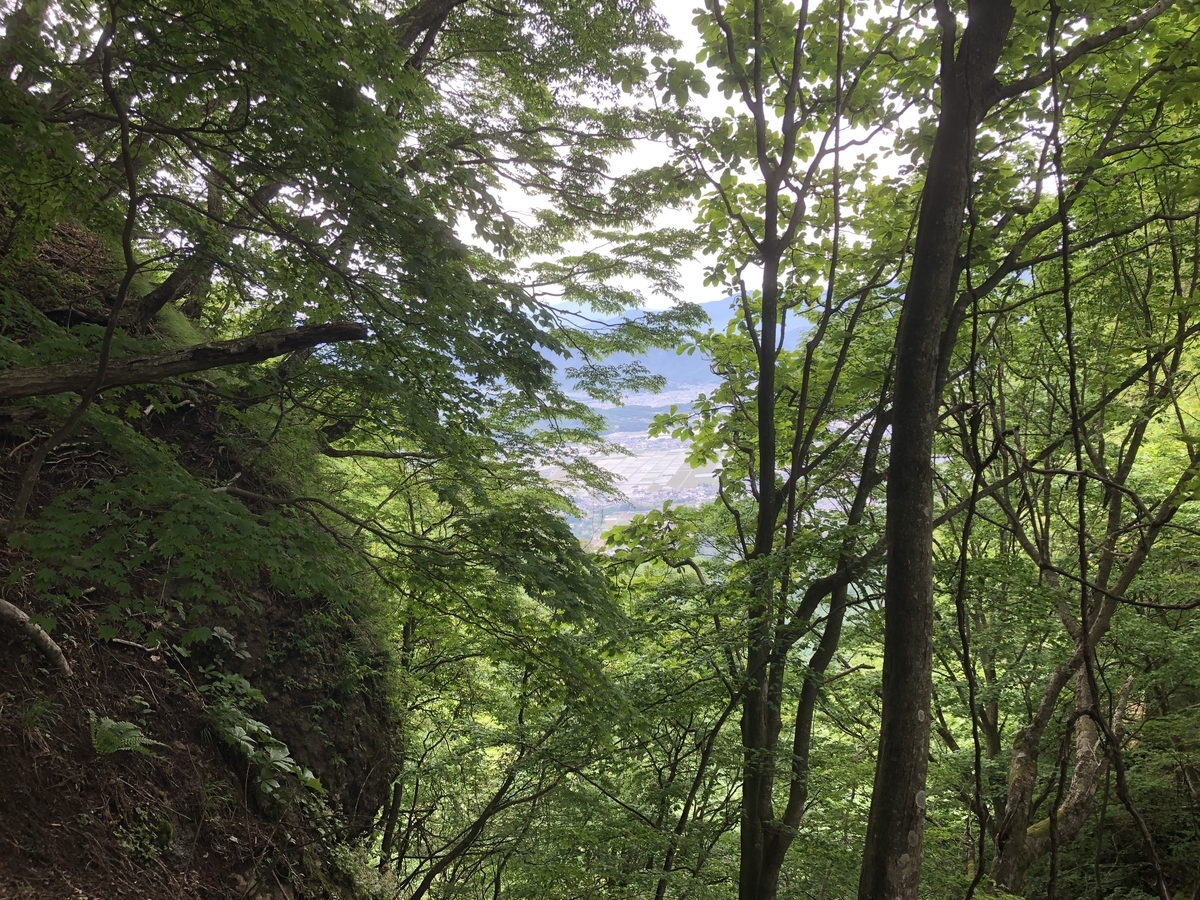 f:id:nantokadekiru:20210609065536j:plain