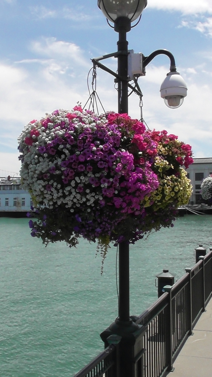 f:id:nantokanarutte:20190725123633j:plain f:id:nantokanarutte:20190725123633j:plain