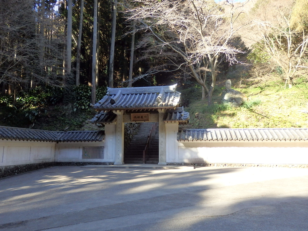 f:id:nantyatteojisan:20190119163030j:plain f:id:nantyatteojisan:20190119163030j:plain