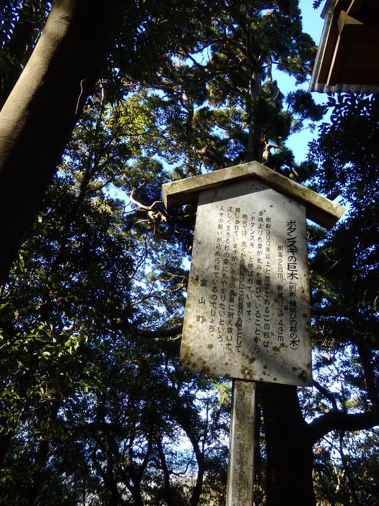 f:id:nantyatteojisan:20190124133205j:plain f:id:nantyatteojisan:20190124133205j:plain