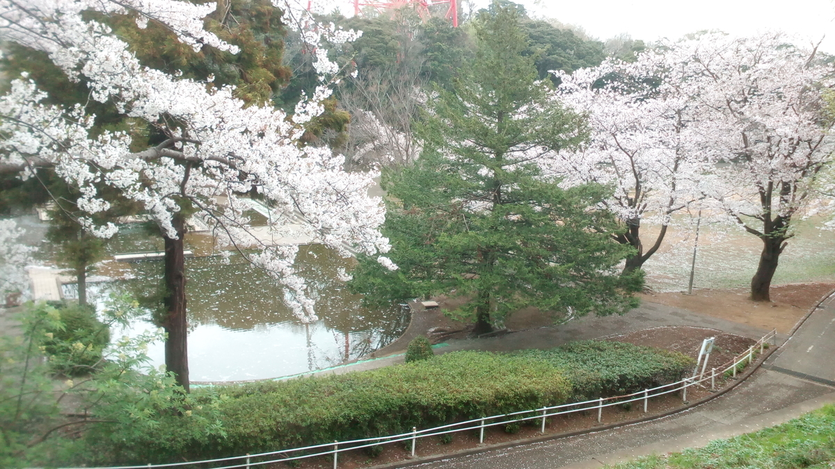 f:id:nantyatteojisan:20200329210042j:plain f:id:nantyatteojisan:20200329210042j:plain